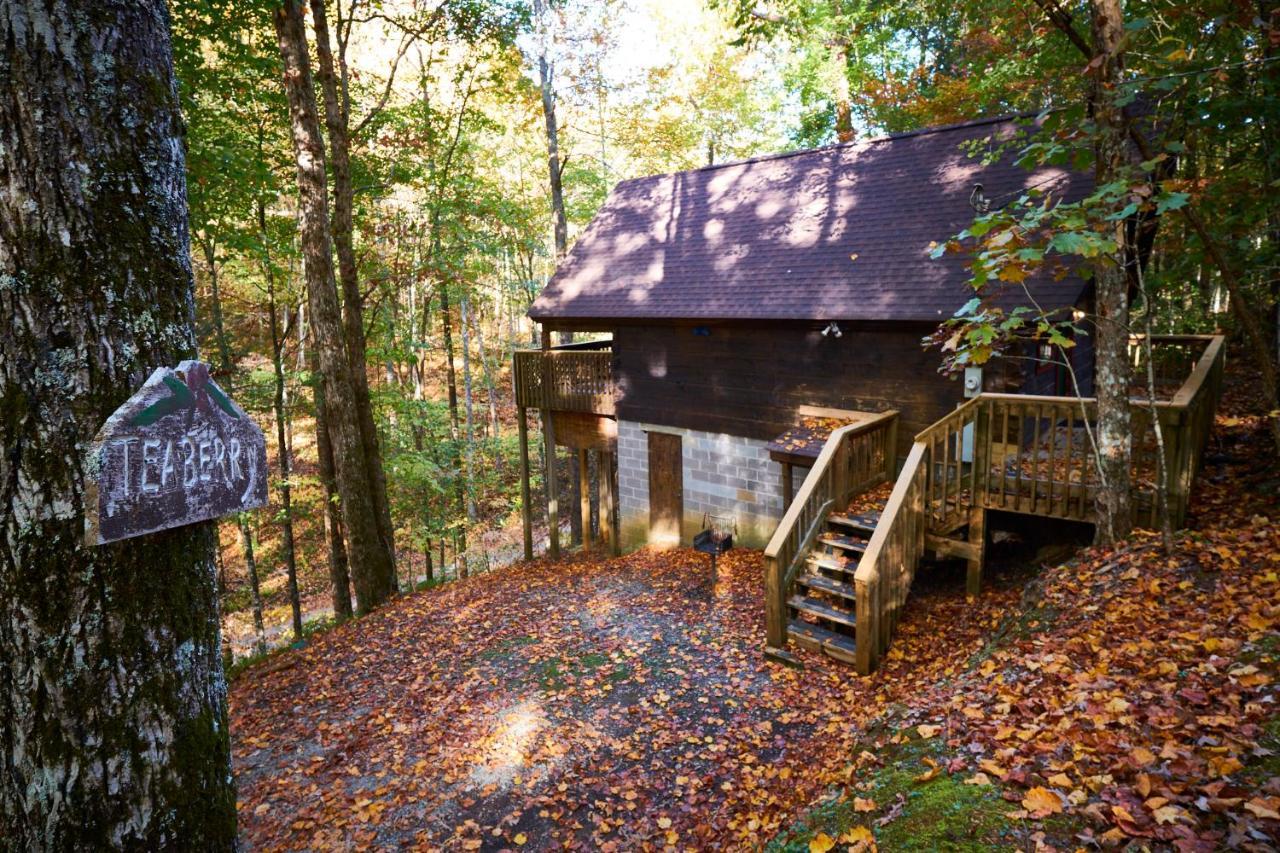 A Cabin In The Woods Pigeon Forge Exterior photo